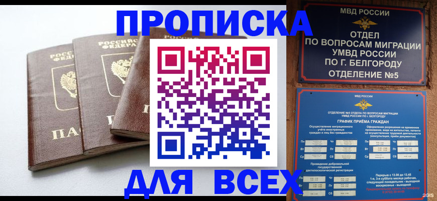 прописка в Невеле